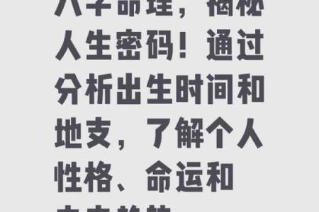 探秘甲子年戌时的命运之旅：揭示命理的奥秘与人生的智慧