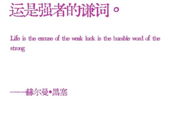 命与运的智慧：探寻人生的真正意义