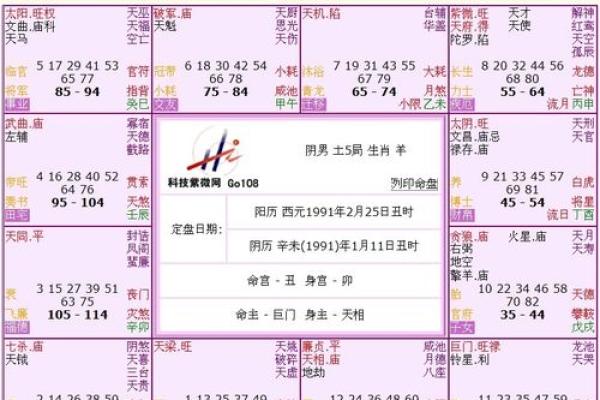 正月二十出生的人命运解析：1988年的命理之道
