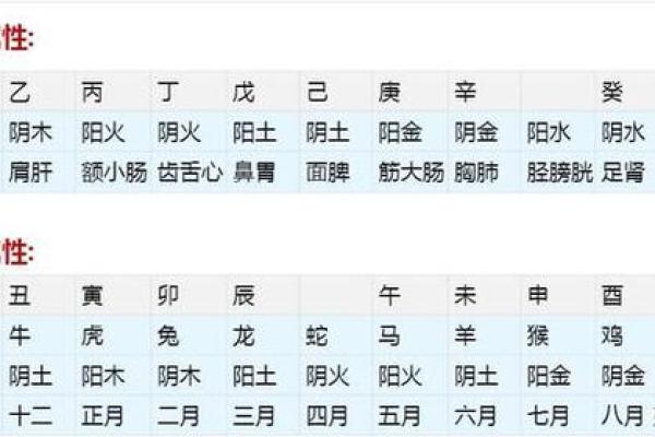 正月二十出生的人命运解析：1988年的命理之道
