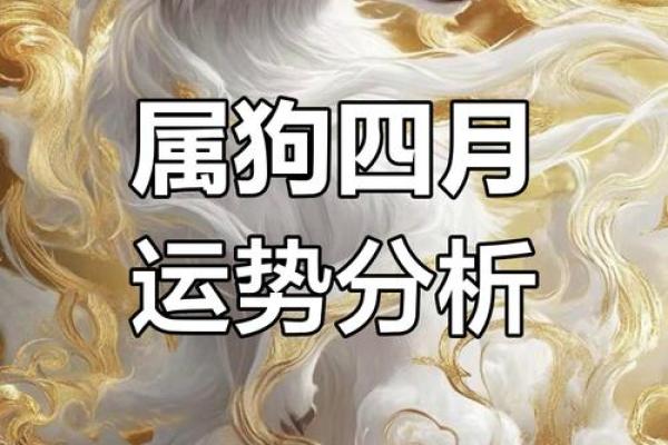 33岁属狗的命运解析：探索生活的智慧与机遇