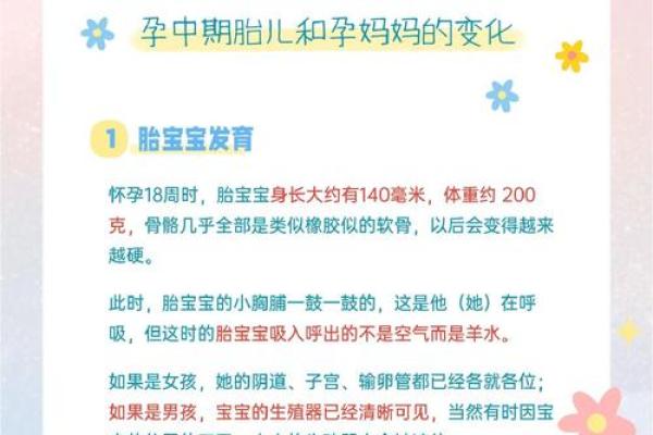 2018年出生宝宝的命运解析：如何为他们打造美好的未来