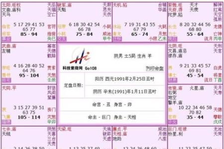 正月二十出生的人命运解析：1988年的命理之道