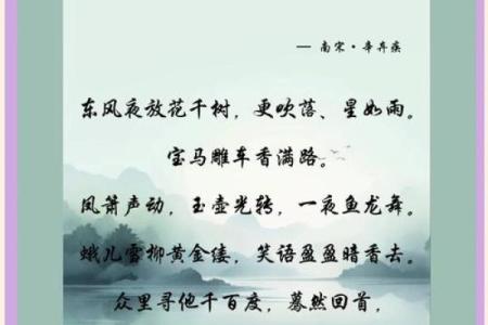 命占夜花树的象征意义及其在生活中的启示