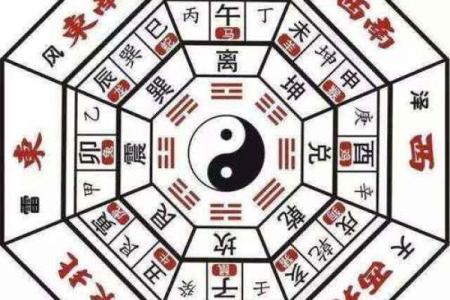 49岁鸡命运解析：如何把握每个阶段的机遇与挑战