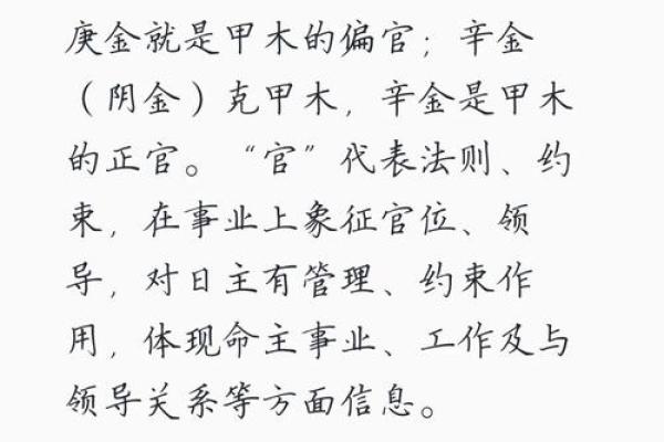 探秘五行命理：你的命运与五行的奇妙关系