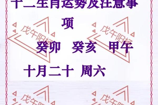 癸亥命与生肖搭配：如何选择最吉利的生肖伴侣？
