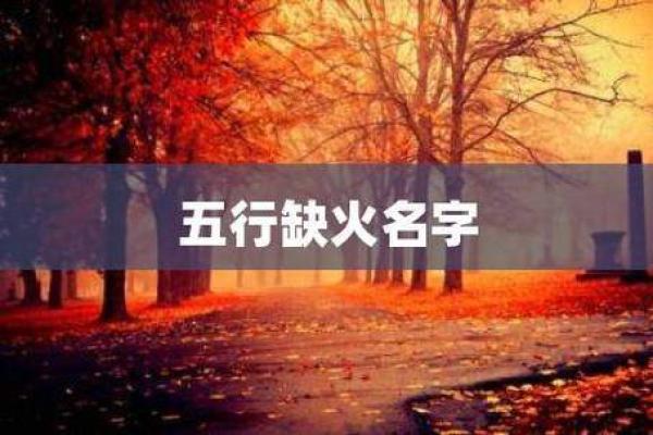 火命人的理想地砖颜色选择：提升风水与居住体验的完美组合