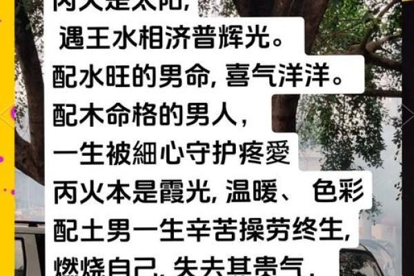 探秘木命与颜色：不喜的色彩与其背后的寓意