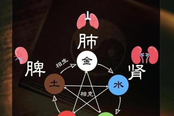 解密壬寅乙巳辛巳壬辰命运：探索五行与人生的奇妙结合