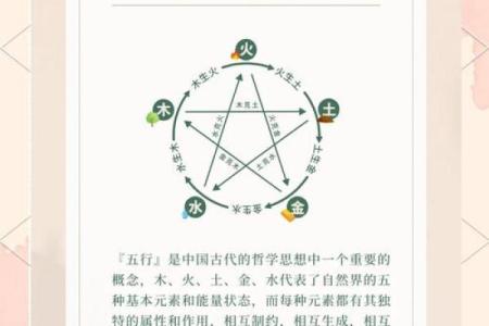 探秘五行命理：你的命运与五行的奇妙关系
