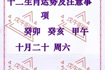 癸亥命与生肖搭配：如何选择最吉利的生肖伴侣？