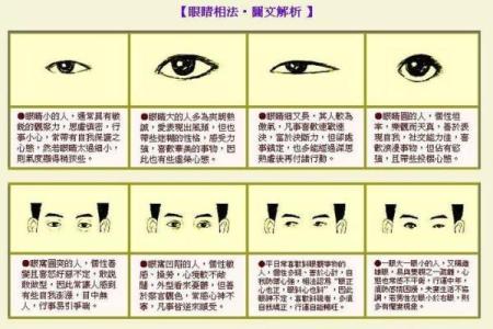 探秘1962年金命之人：他们的命运与性格特征