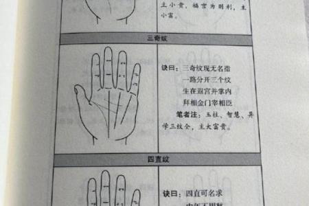 揭秘手相与面相：如何解读命运的秘密！