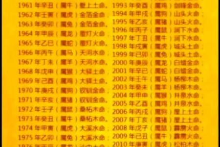 真龙命与假龙命的终极区别与命运解析