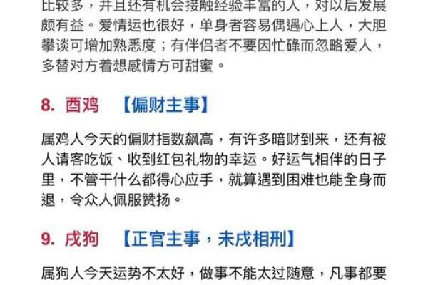 1995年属相与命运探讨：寻找人生的真谛与方向