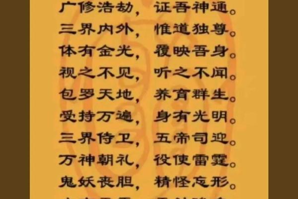 1995年属相与命运探讨：寻找人生的真谛与方向