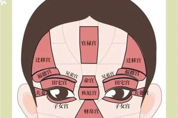 眼型与命格：揭示你命运的秘密