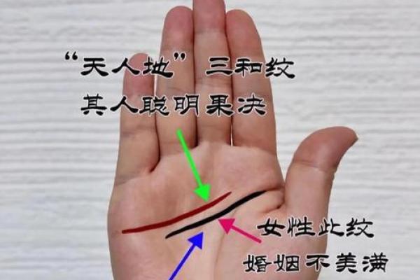 女人掌纹解析：揭秘命运与幸福的秘密