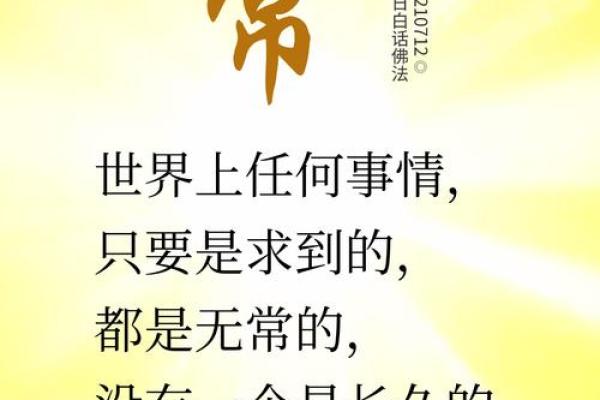 虚虚实实，命运无常：探讨人生的无常与智慧