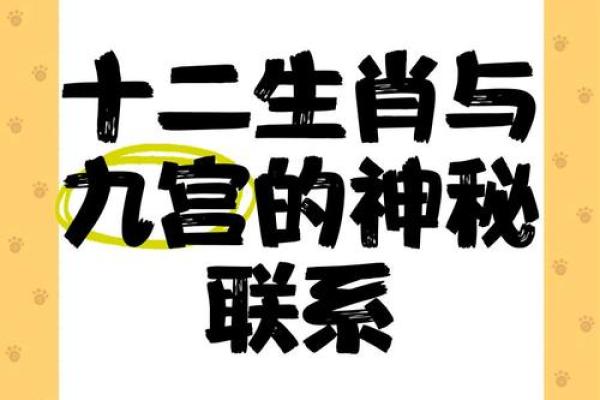 父母命的奥秘：生肖与家族命理的深刻联系
