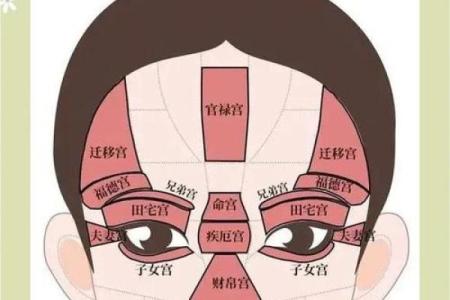 眼型与命格：揭示你命运的秘密