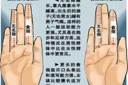 菩萨智慧：从命盘看命运的深刻解读与启示