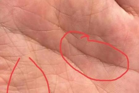 女人掌纹解析：揭秘命运与幸福的秘密
