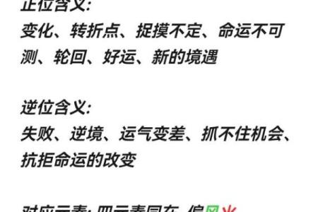 探索手指纹理与命运的奥秘：从指尖看人生