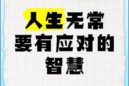 虚虚实实，命运无常：探讨人生的无常与智慧