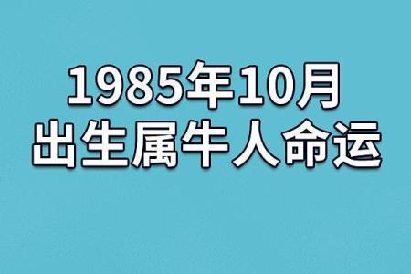 解析1962年1月出生的命运与人生轨迹