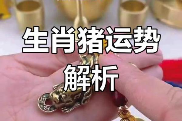 1983年属猪人的命运与性格解析：一生的幸福之路