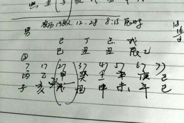1985年鼠年出生者的命运与性格特点探讨