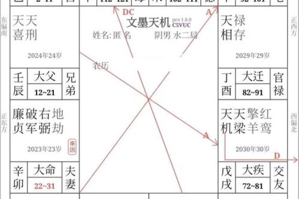 揭秘紫薇命盘中的大限：掌握人生运势的关键所在