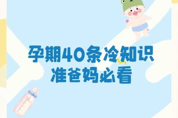 揭秘命带天狗，准妈妈怀孕期间的注意事项与小贴士！