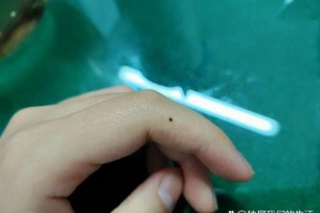 左手食指长短与命运的奥秘：你不能错过的面相解密！