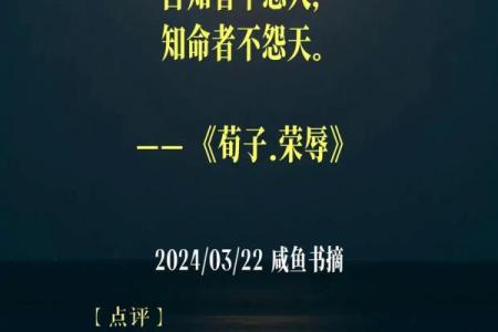 不张扬的人，命运背后的秘密与智慧