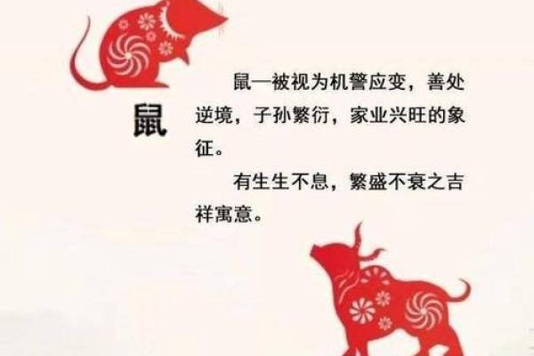 命里缺水的生肖与性格解析：你是哪一种？