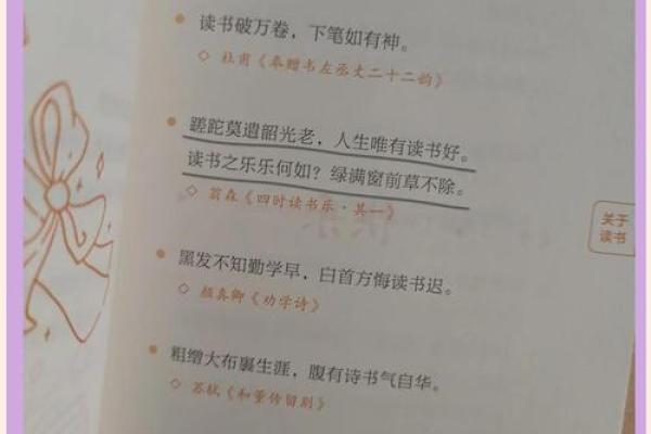 目命的含义与启示：探索命运背后的智慧与力量