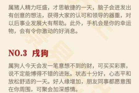41岁属狗的人士命理分析，幸福生活的秘诀与建议