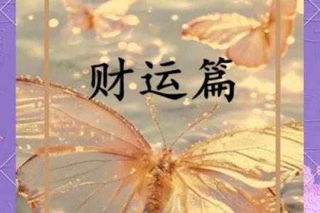 23年兔年宝宝命理解析：财运与人际关系的秘密！