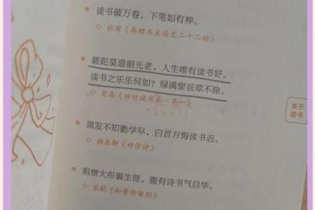 目命的含义与启示：探索命运背后的智慧与力量