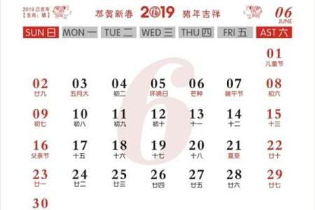 探秘2019年出生宝宝的命运：个性与运势的深度解析