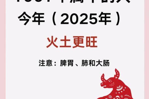 2025年属牛：解密牛年命运与生肖性格的奥秘