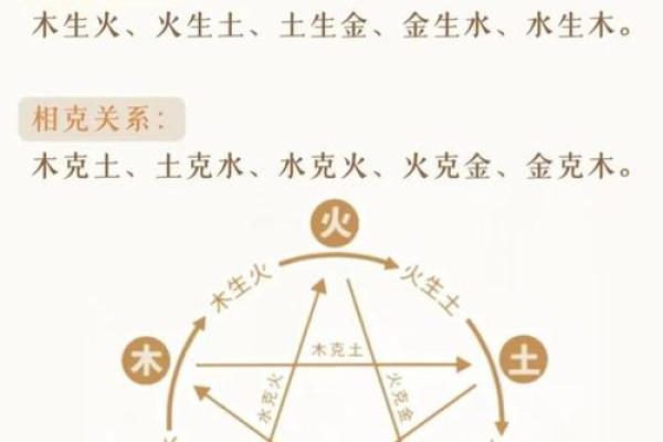 探秘一九九一五行命运：你的生活是否被五行所影响？