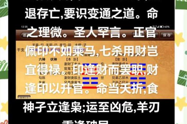 探秘一九九一五行命运：你的生活是否被五行所影响？