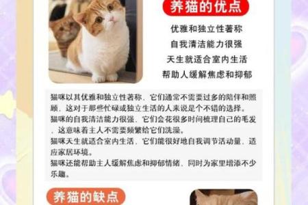 解密命格：什么样的人适合养猫狗？