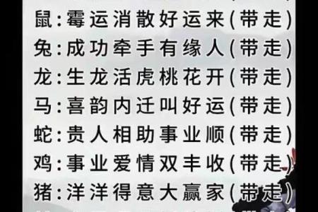 2022年属虎，探秘金命属性与桃花运的完美交融