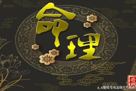 探秘丙戌日出生者的命运特征与人生轨迹