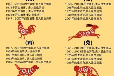 金马命的色彩选择：如何通过颜色提升运势与生活品质